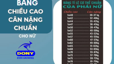 Bảng Chiều Cao Cân Nặng Chuẩn Của Nữ