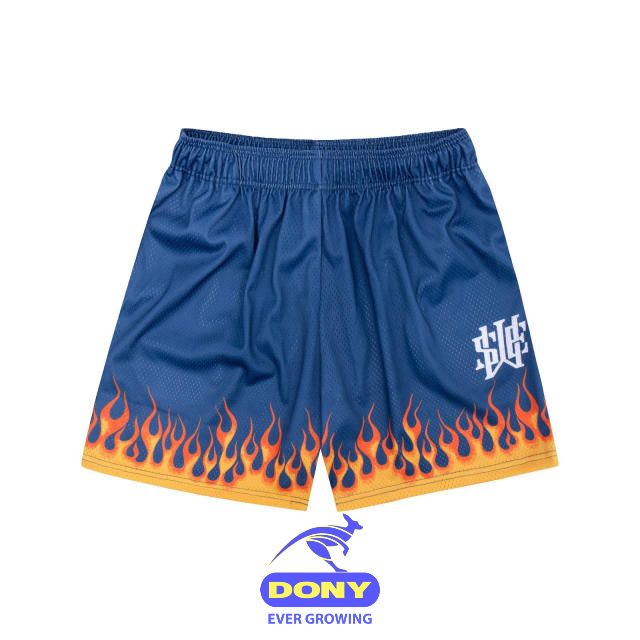 Flame Mesh Shorts - Blue.