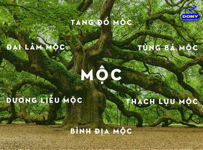 Những ai thuộc mệnh Mộc