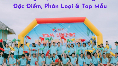 Đồng Phục Team Building: Đặc Điểm, Phân Loại &Amp; Top Mẫu