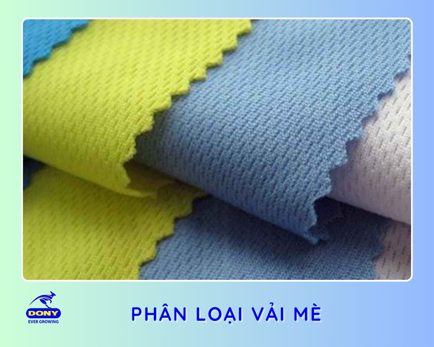 Các Loại Vải Mè Phổ Biến