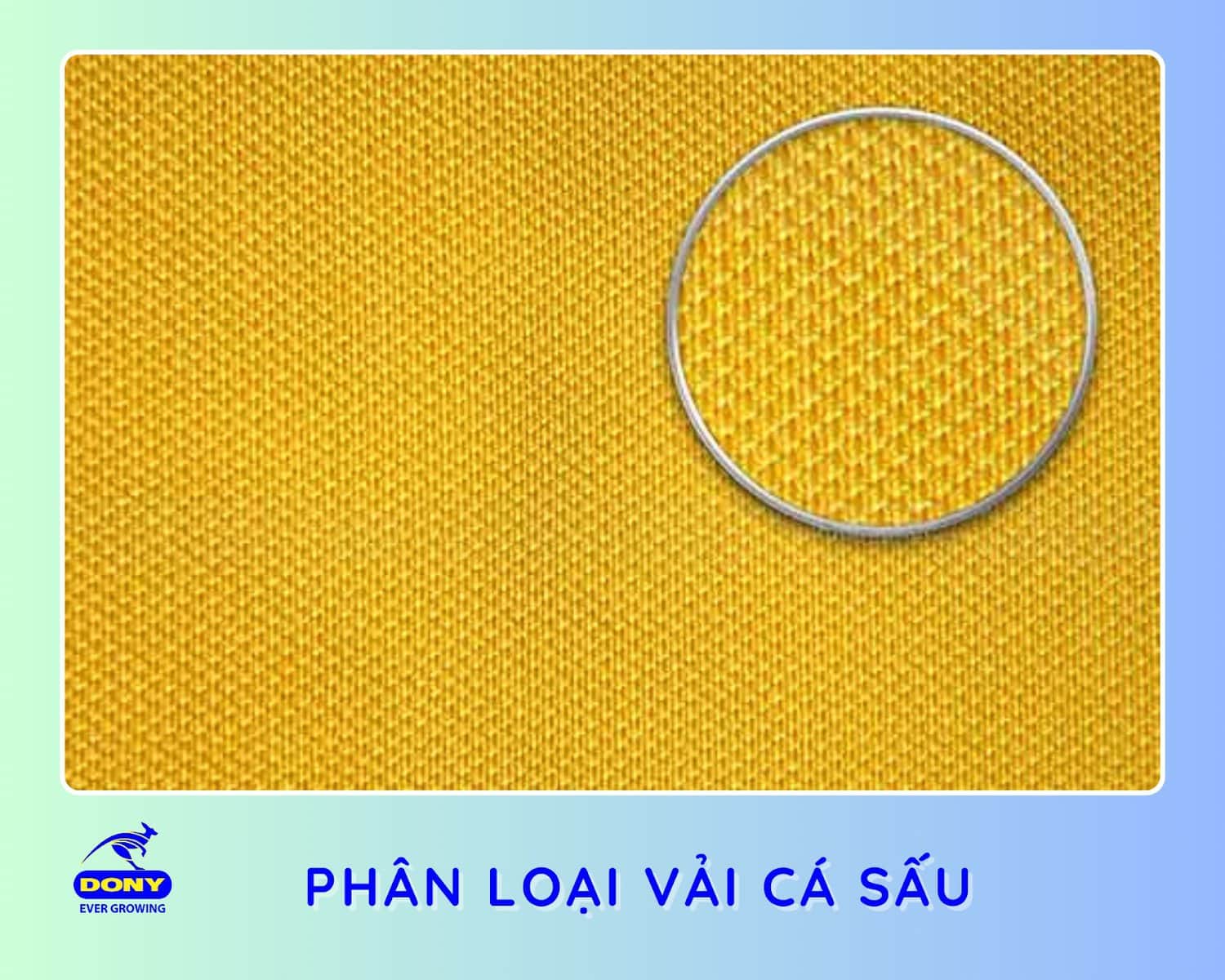 Phân Loại Vải Cá Sấu