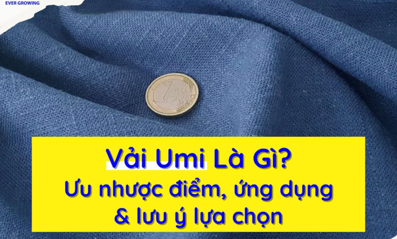 Tìm Hiểu Về Vải Mesh