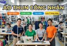 Áo Thun Công Nhân